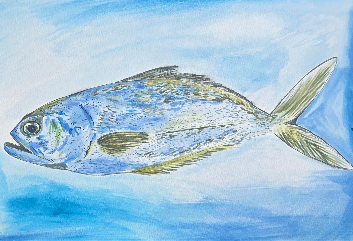 La primera pesca.